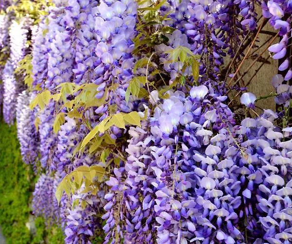 Astor Отель Турин